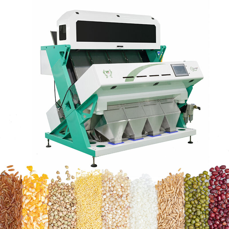 Intelligenter Buchweizen-Farbsorter Weizen Hafer Quinoa Trennmaschine 3 Schuppen 6 Kameras