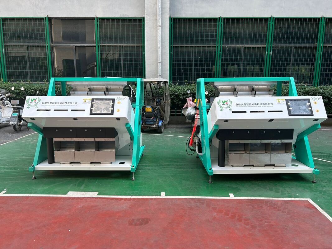 Wenyao Sojabohnen Mais Zucker Kaffee Bohnen Farbsortiermaschine Neues Design Vollautomatische Farbsortiermaschine