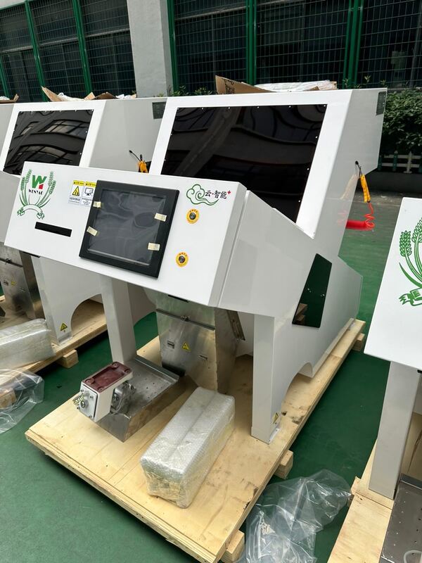 Muskatnuss-Sortiermaschine zur Entfernung von Aflatoxinpartikeln mit UV-Lichttechnologie