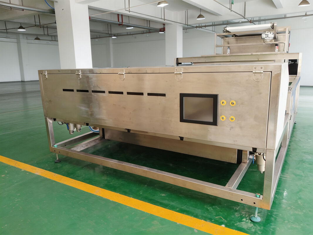 Potato Chip Color Sorter CCD Seaweed Color Sorting Machine Mango  Color Separating Machine