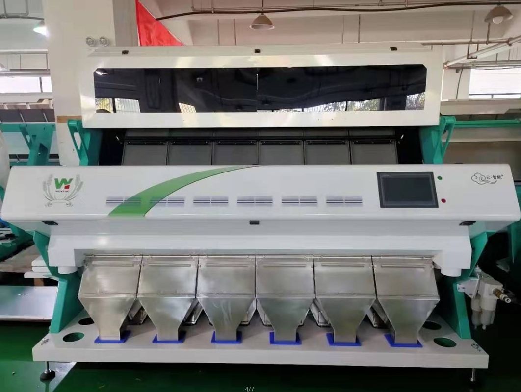 4T/H Sacha Inchi Bean Sorting Machine mit hoher sortierender Genauigkeit