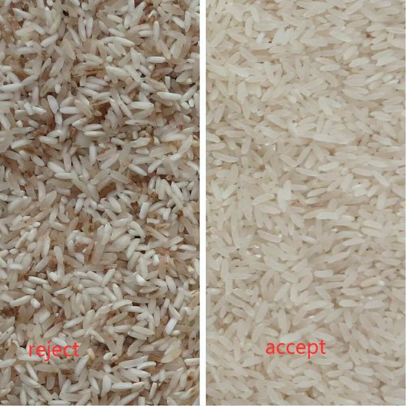 Wenyao 220V 50HZ Rice Color Sorter Machine 99 Sorting Accuracy
