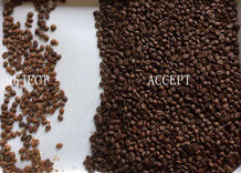 Präzisions-Kaffeebohnen-Farbsorter mit Japan Nikon Lens Advanced Deep Learning Technologie