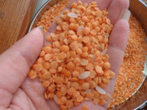 Rote grüne Linsen färben Sortierer-Linsen-Farbtrennzeichen Bean Processing Sorting Machine