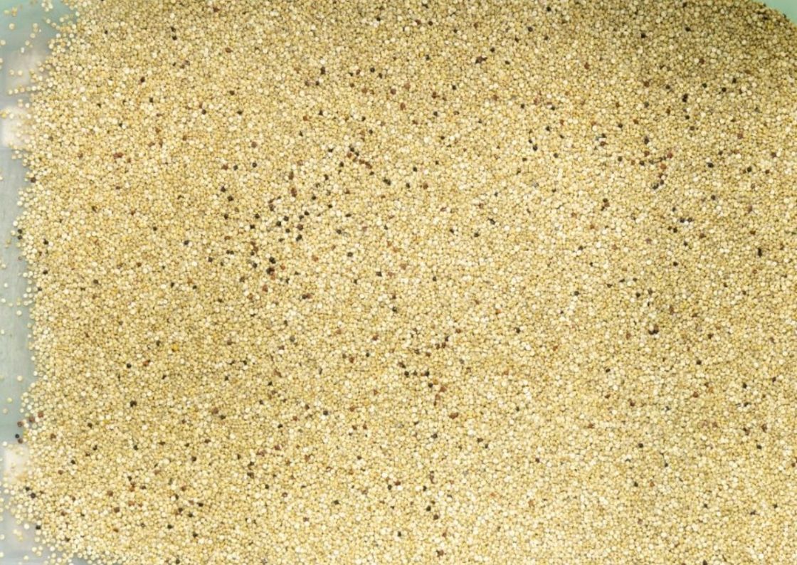 WENYAO Multifunction Color Sorter, Quinoa-Hafer-Korn-Farbsortierer
