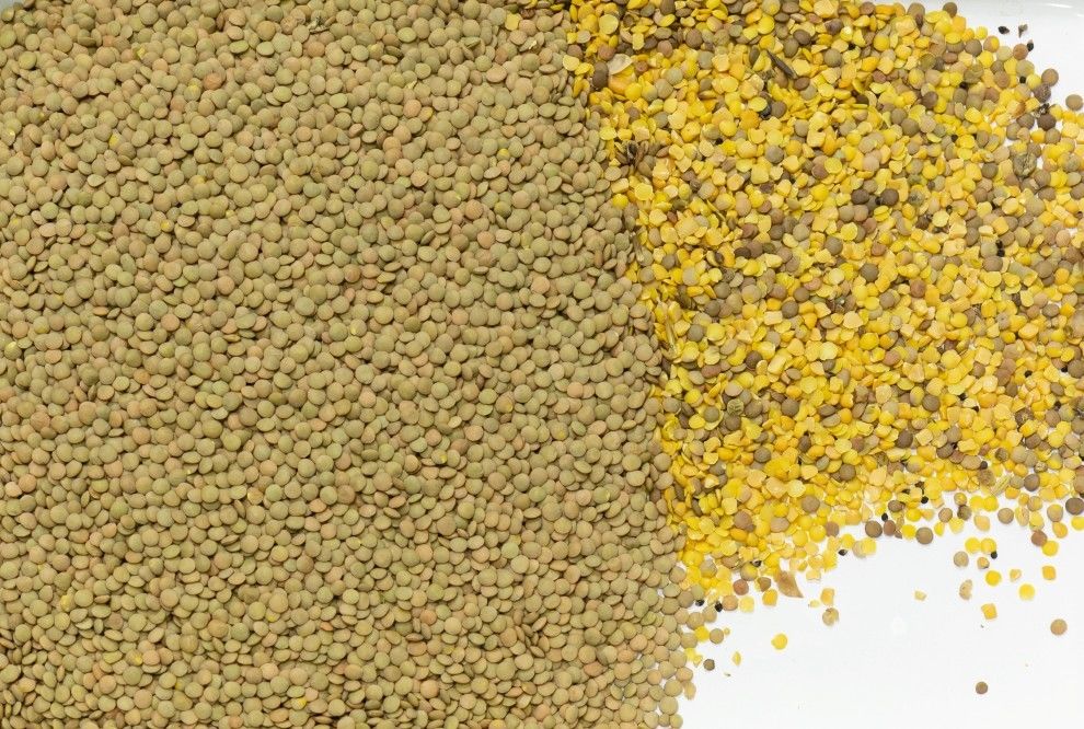 Hochgenaue Multifunktionsfarbsortiermaschine für Getreide Kaffee Kakaobohnen Weizen