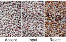 Sojabohnen-Farbsortierer Pules Sortierauswahlmaschine Grüne Bohne Schwarze Sohum-Samen Reinigungsgerät