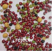 Farbsortierer-rotes Bean Color Sorting Machine Automactic intelligentes CCD-Farbtrennzeichen