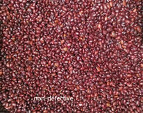 Farbsortierer-rotes Bean Color Sorting Machine Automactic intelligentes CCD-Farbtrennzeichen
