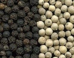 32 Kanäle Farbsorter für Samen, Sortiermaschine für Chili-Rosenblumen