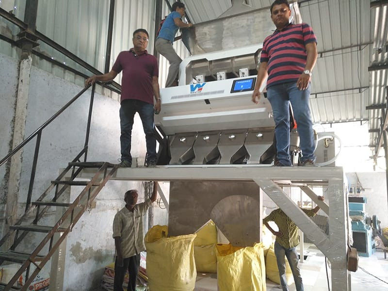 Zitronengelber Bean Color Sorter Machine automatischer Bean Color Sorter