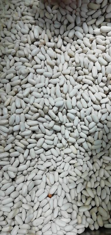 Zitronengelber Bean Color Sorter Machine automatischer Bean Color Sorter