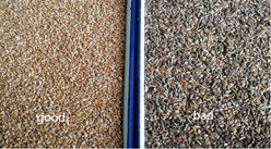 WENYAO LED-Licht-Farbsortierer für Weizen, geringer Stromverbrauch, Getreidetrenner