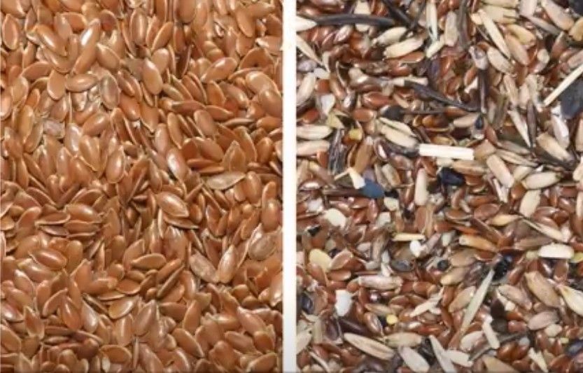 Herstellerflax seed sorting-Maschinen-indischer Sesam sät Farbsortierer-landwirtschaftliche Ausrüstung
