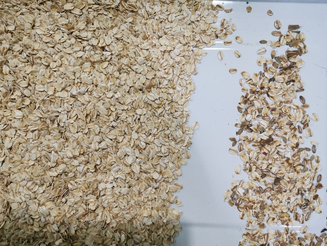 Mit hohem Ausschuss Hafer-Sortierer-Farbmaschine mit optischem CCD-Farbsortierer