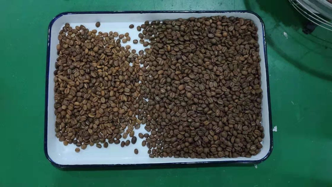 Röstkaffee-Bean Sorting Machines 240V 50Hz Hochgeschwindigkeitsverarbeitungschip