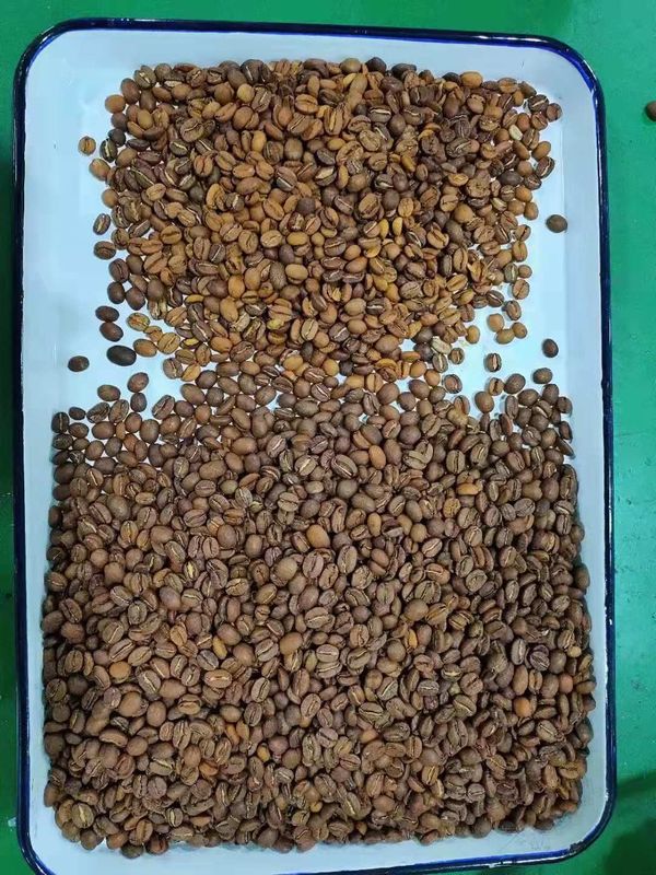 Röstkaffee-Bean Sorting Machines 240V 50Hz Hochgeschwindigkeitsverarbeitungschip
