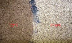 Kanäle Wenyao Color Sorter 1 Rutsche64 für Rye-Samen