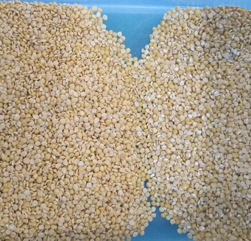 Wenyao Grain Color Sorter, Sorghum-sortierende Maschine CER ISO9001