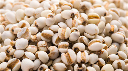 WENYAO High Precision Wheat Corn-Korn-Sortierer-Maschine mit der Spitzenkapazität