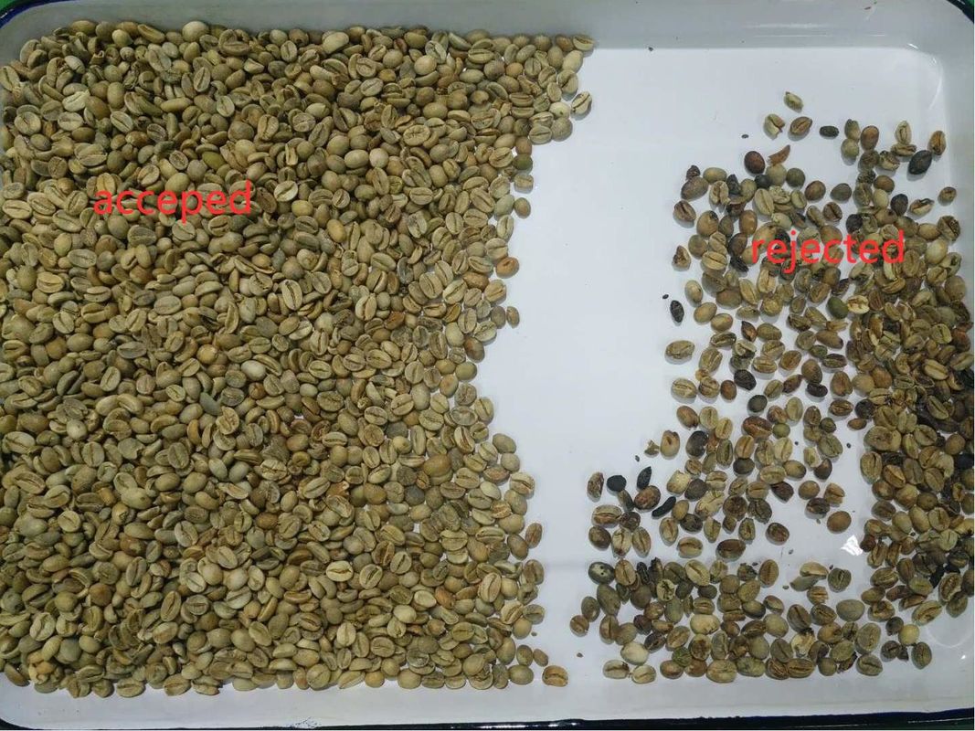 5400 Pixel Mini Coffee Bean Color Sorter   Mit hoher Genauigkeit