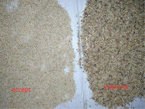 Wenyao Weizenfarbsortierer Hohe Präzision Geringer Stromverbrauch