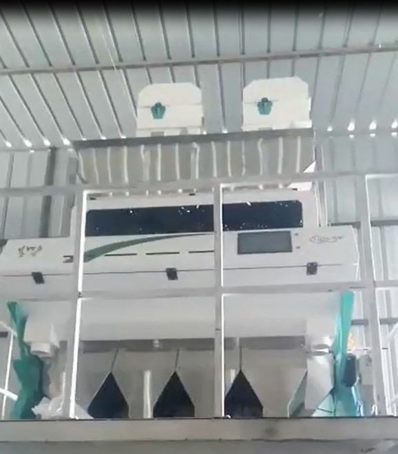 WENYAO Color Sorter Machine For-Reis-Korn Bean 4 Rutschen
