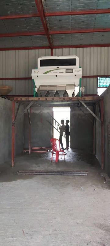 Sonnenblumensamen-Farbsortierer in der China-Wassermelonen-Samen-Farbsortierer-Maschine