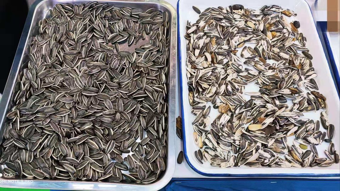 Kürbiskerne färben das Sortieren der Ausrüstung 2 Rutschen 128 Kanäle
