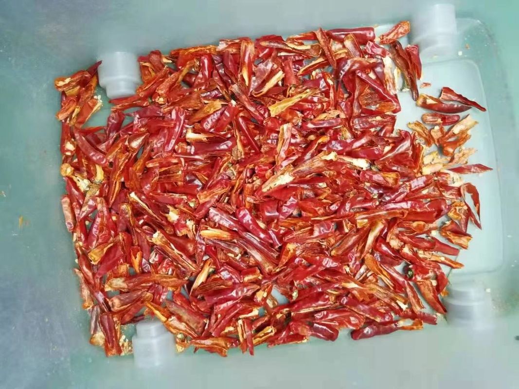 2 Rutschen 128 lenkt Chili Sorting Machine-CER, das für Pfeffer genehmigt wird
