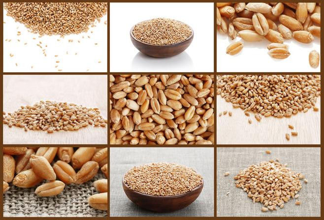 Multifunktionssonnenblumensamen-Erdnuss-Kern-Sortierer-Maschinen-Schwarz-Niere Bean Pistachio Nut Color Sorter