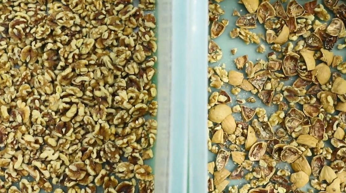 Multifunktionssonnenblumensamen-Erdnuss-Kern-Sortierer-Maschinen-Schwarz-Niere Bean Pistachio Nut Color Sorter