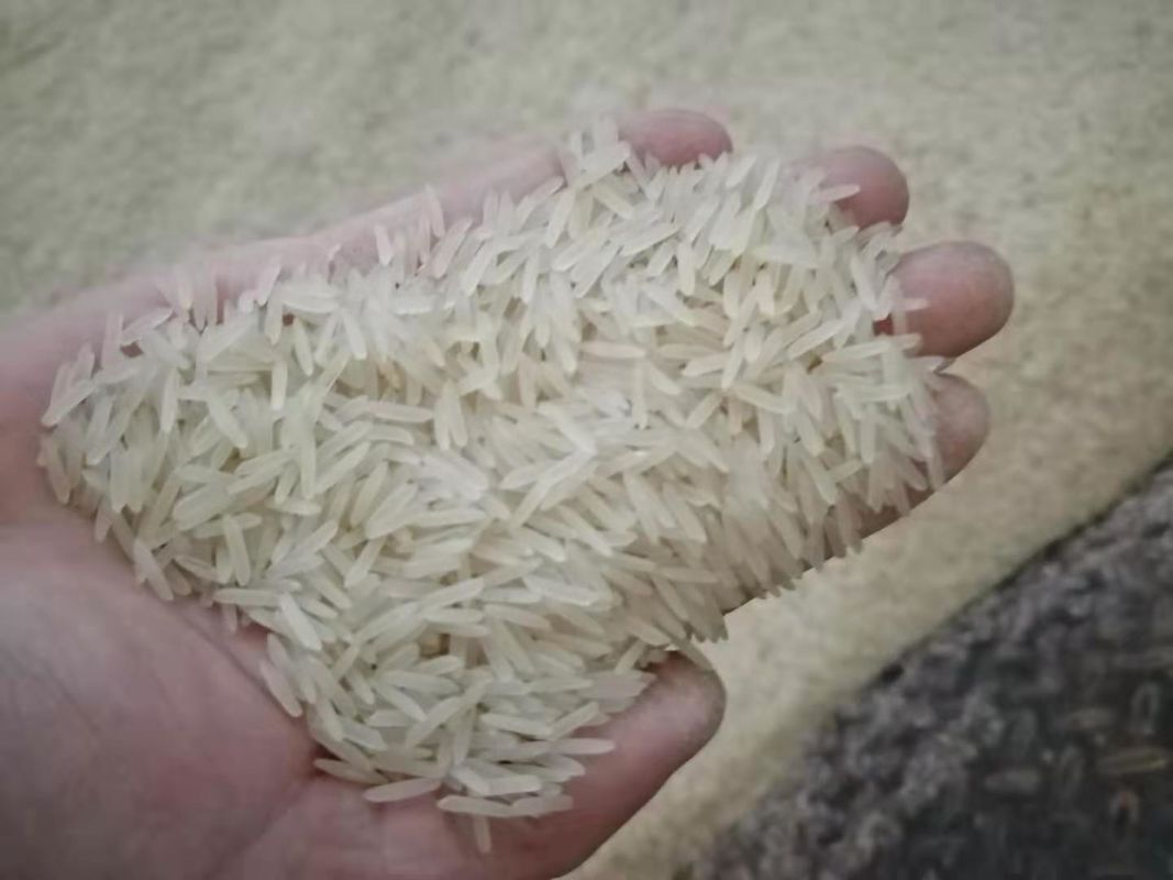WENYAO Agriculture Rice Color Sorter, Multifunktionskorn-Farbsortierer-Maschine