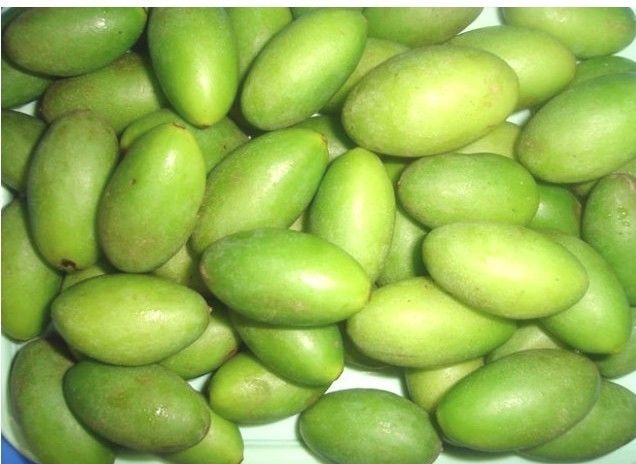 Mini Belt Type Horizontal Nuts-Farbsortierer von China