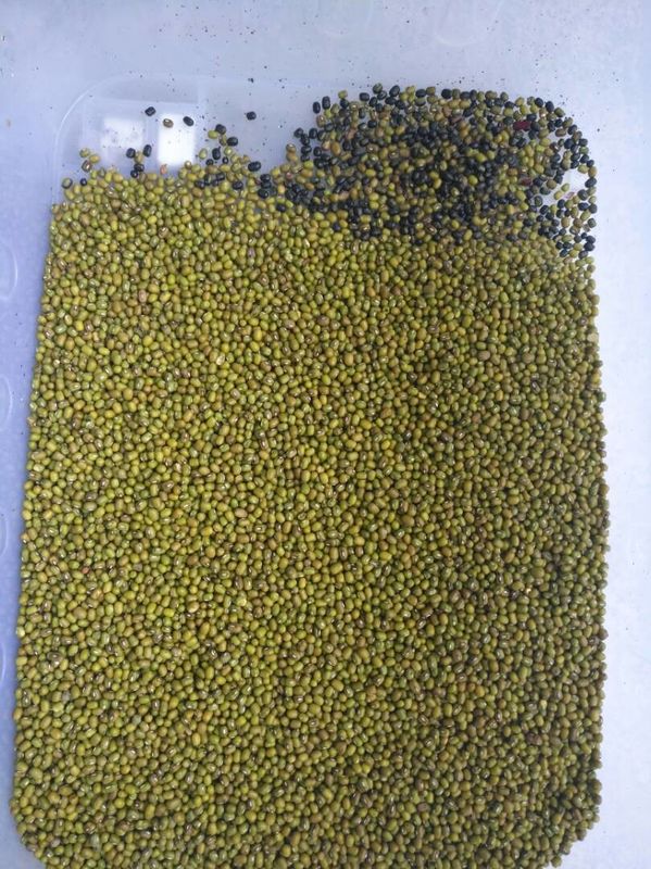 Intelligente grüne Bean Colour Machine Beans Ccd-Farbsortierer-Maschine