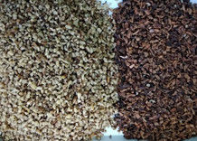 2 Rutschen 128 lenkt Nuss-Farbsortierer, WENYAO Walnut Color Sorter