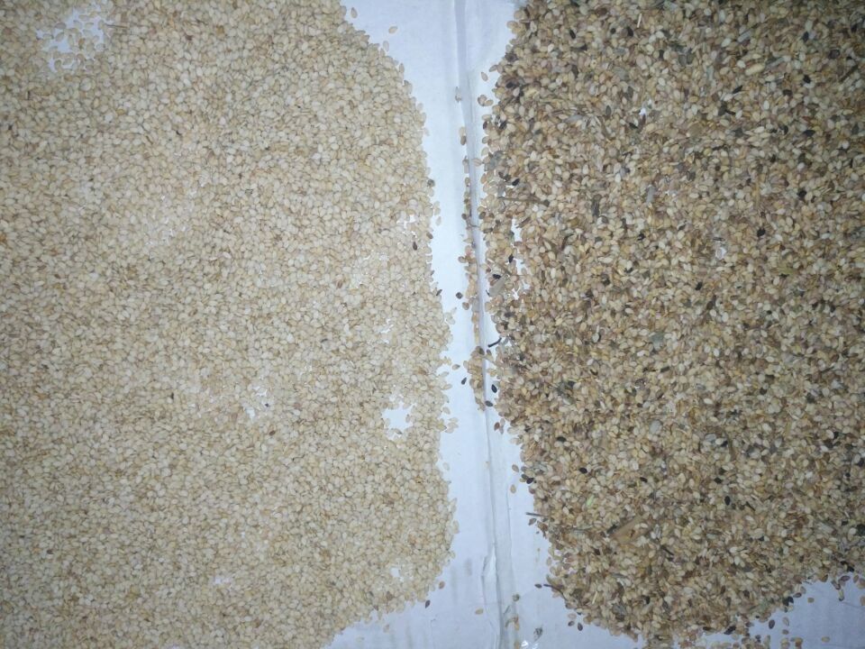 Wenyao High Capacity Sesame Seeds-Farbsortierer, der Trennzeichen-Maschine sortiert
