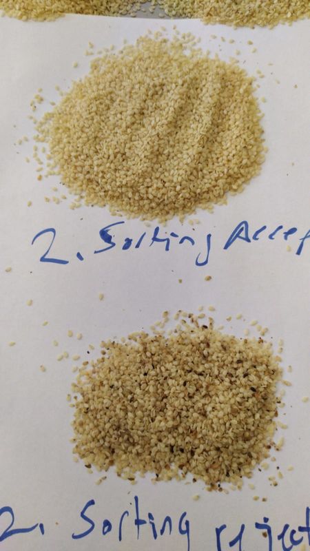 Wenyao High Capacity Sesame Seeds-Farbsortierer, der Trennzeichen-Maschine sortiert