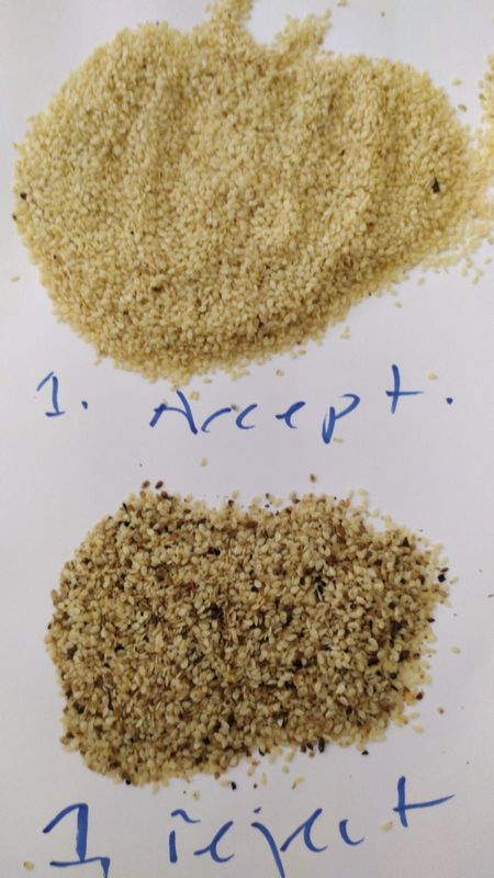 Wenyao High Capacity Sesame Seeds-Farbsortierer, der Trennzeichen-Maschine sortiert