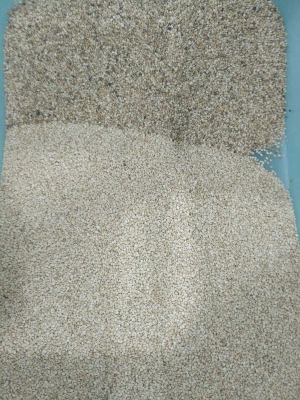 Wenyao High Capacity Sesame Seeds-Farbsortierer, der Trennzeichen-Maschine sortiert