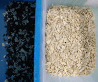 Multifunktionsplastik-PVC-HAUSTIER Flocken-Körnchen der ABS-pp. färben den Sortierer, der Plastikfarbsortierende Maschine aufbereitet