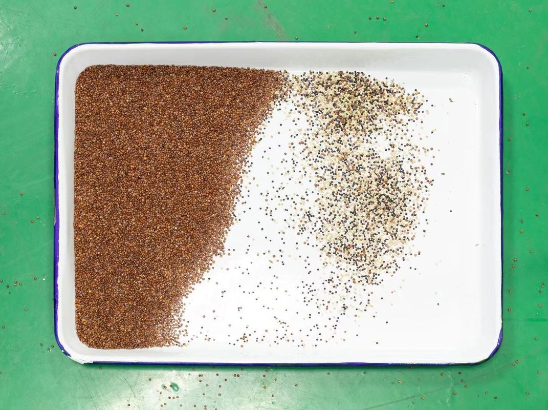 Quinoa-Farbsortierer-Maschinen 128 Kanäle 2 Jahre Garantie-