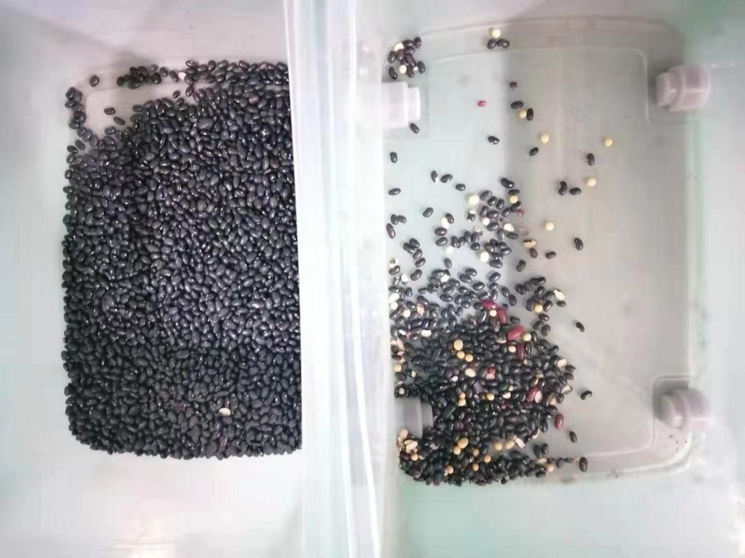 128 Kanal-Multifunktionsfarbsortierer für Pea Wheat Grain Nut Seed Bean