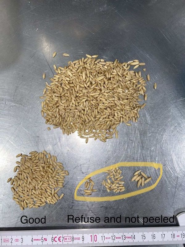 Hoher Rutschweizen-Farbsortierer des Durchsatz-8, CCD-Weizen-sortierende Maschine