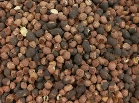 Hohe Kanäle Durchsatz-Lotus Seeds Color Sorter-CD-Kamera-512