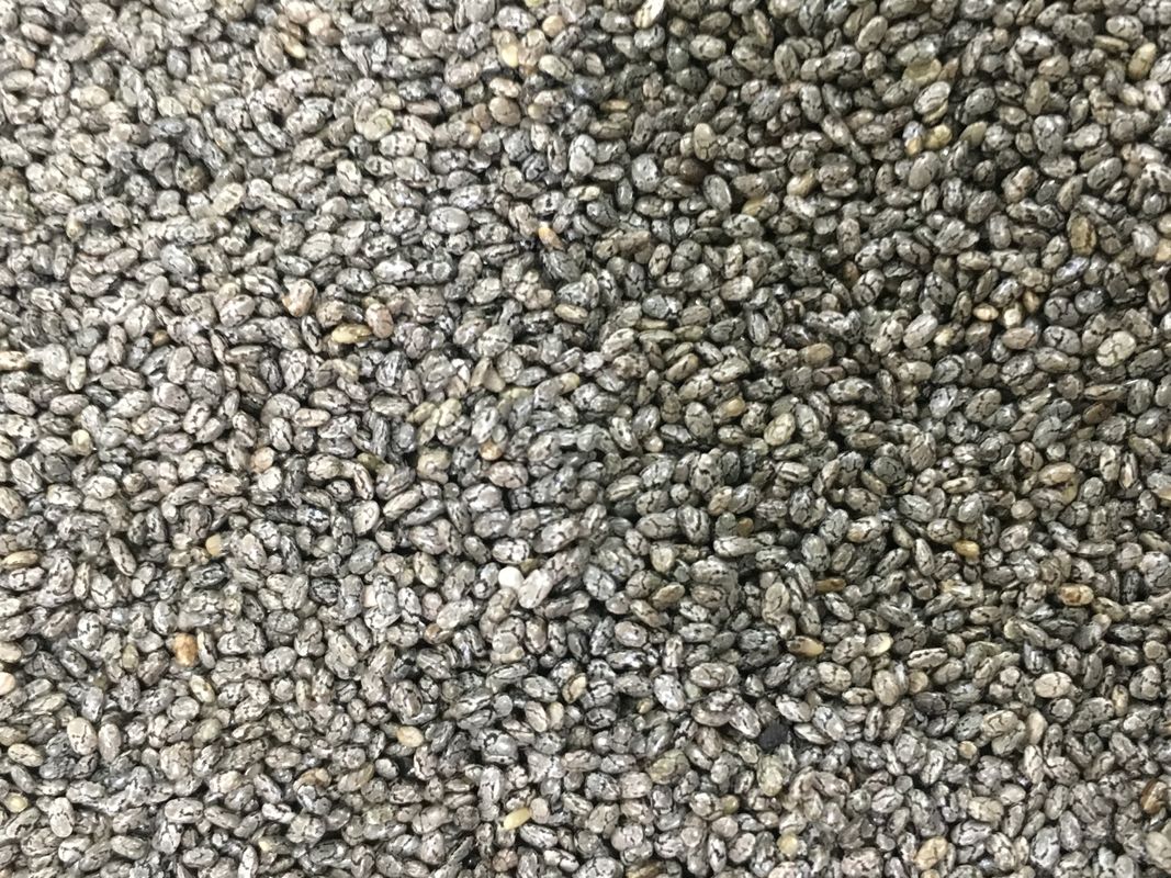 512 Kanäle 8 transportiert Kamera Chia Seed Color Sorter Withs RGB auf einer Rutschbahn