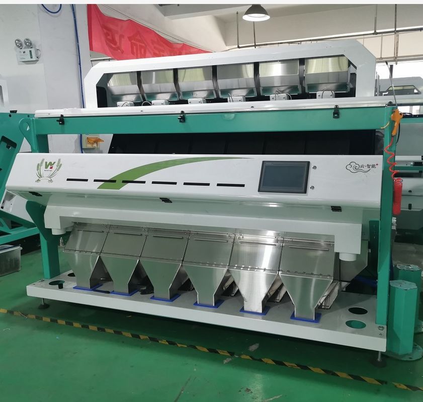 WENYAO CCD-Korn-Farbsortierer, Olive Optical Sorter Machine