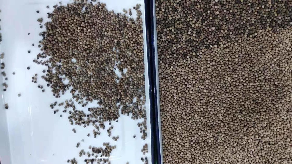Intelligenter Korn-Farbsortierer, Pfeffer-sortierende Maschine 220V RGB