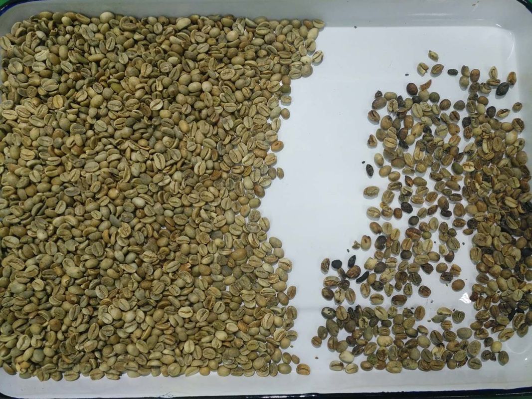 Pixel-CD-Kamera-Kaffeebohne-Farbsortierer der hohen Kapazitäts-5400, der Trennzeichen-Maschine sortiert