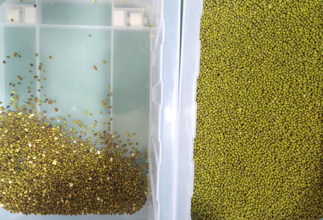 6 Rutschgetreide-Farbsortierer für Sorghum-Buchweizen-Hirse